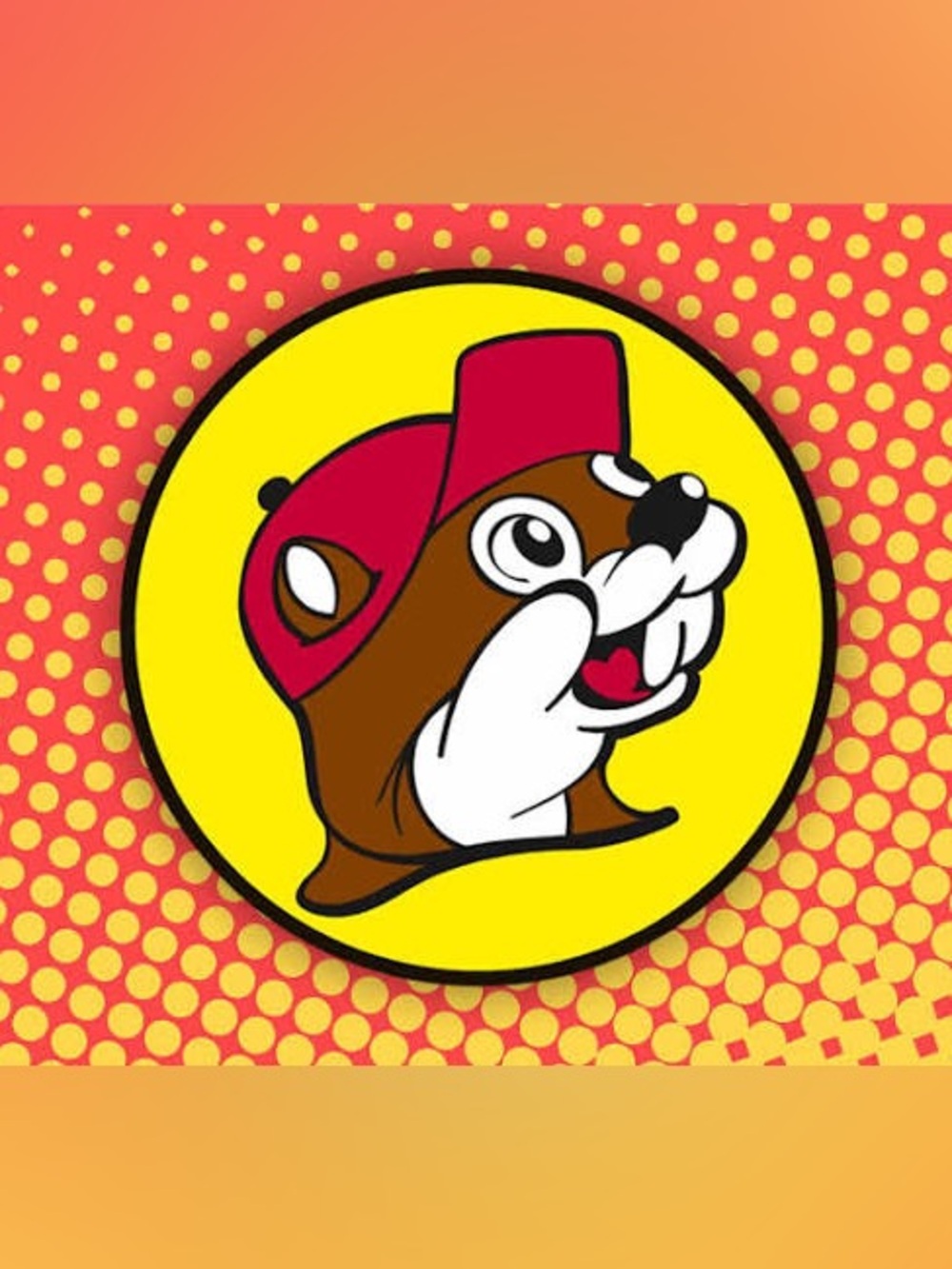 BUC-EE’S!!! - Picture 3 of 5